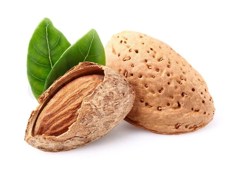 بادام درختی با پوست تازه و درجه یک